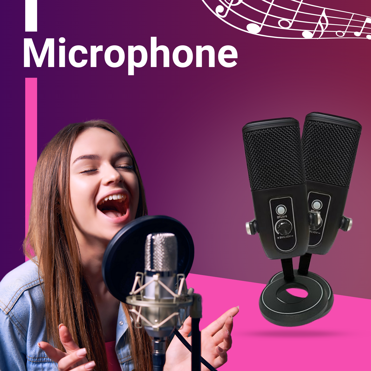 Microphones & Microphone Stands