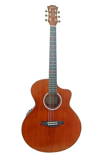 Gibz's Guitars TG 41 EQ Pro Series Jumbo Semi Acoustic Guitar with Fishman Pick Up (Antique Gold - EQ Jumbo)