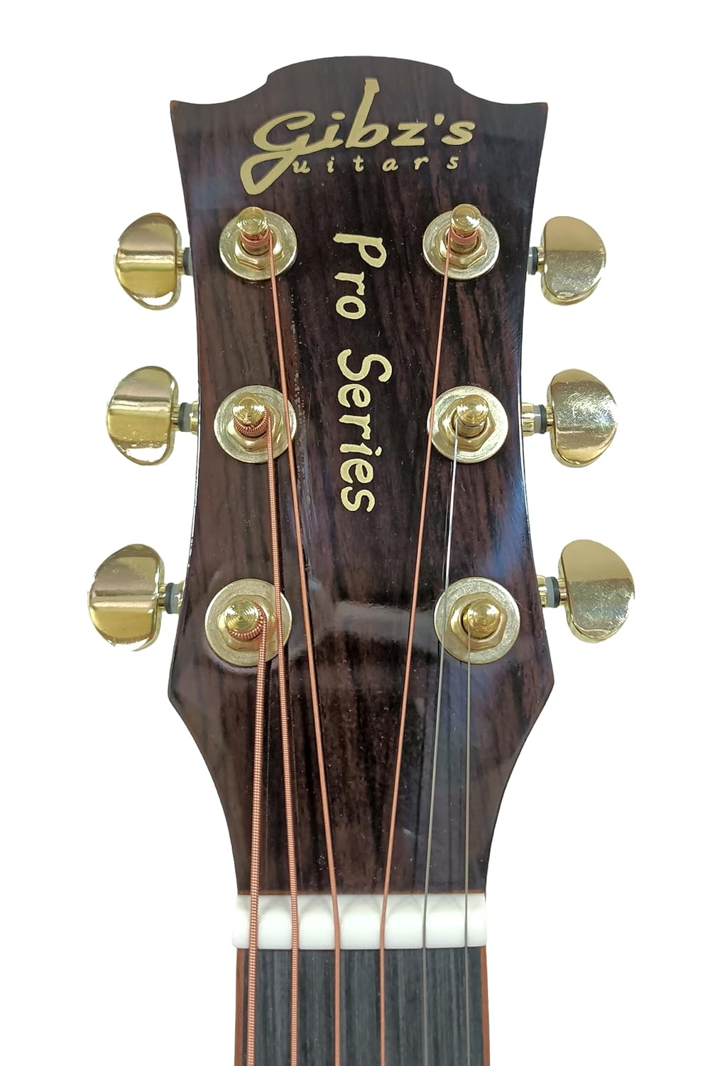 Gibz's Guitars TG40 Antique Brown Pro Series Acoustic Guitar (Antique Brown)