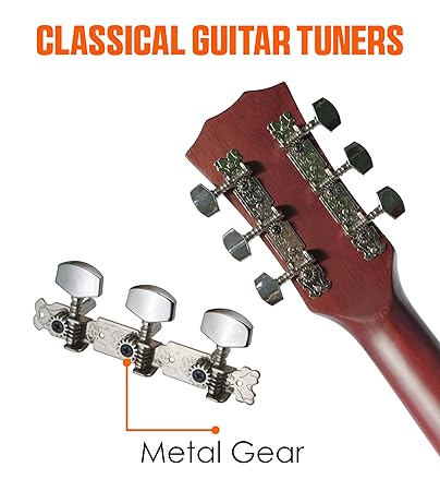 Gibz's guitar G 38 Matt Acoustic Guitar With Truss Rod (Natural)