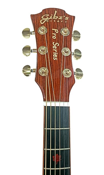 Gibz's Guitars TG 41 EQ Pro Series Jumbo Semi Acoustic Guitar with Fishman Pick Up (Antique Gold - EQ Jumbo)