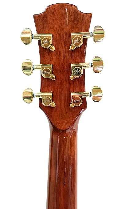 Gibz's Guitars TG 41 EQ Pro Series Jumbo Semi Acoustic Guitar with Fishman Pick Up (Antique Gold - EQ Jumbo)