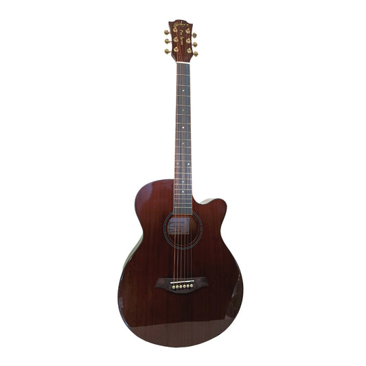 Gibz’s TG-40 Pro Series Acoustic Guitar in Antique Natural finish, front view with cutaway