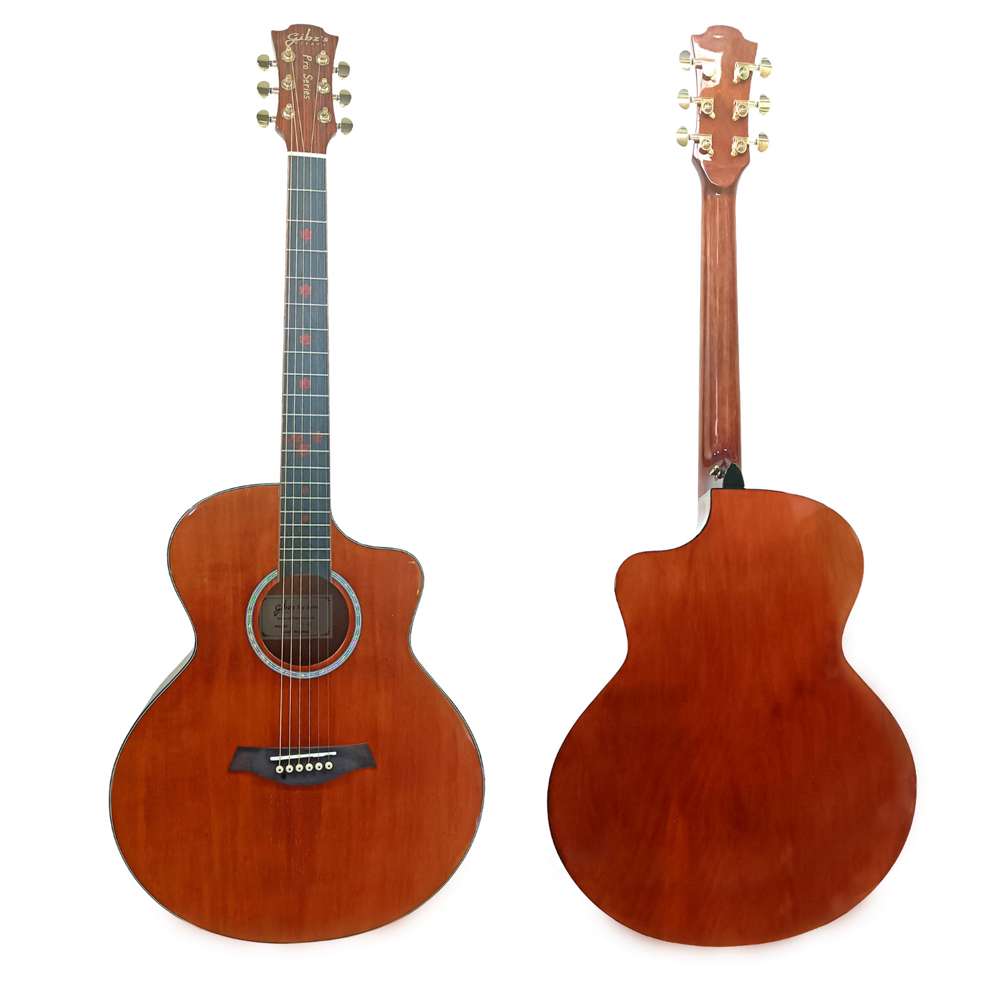 Gibz's Guitars TG 41 EQ Pro Series Jumbo Semi Acoustic Guitar with Fishman Pick Up (Antique Gold - EQ Jumbo)