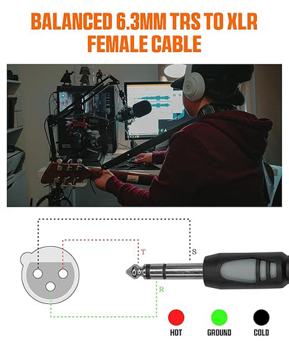 Softline Pro SPSF 500 6.3MM Stereo Jack to XLR Female 5 Meter Molded Cable-Black