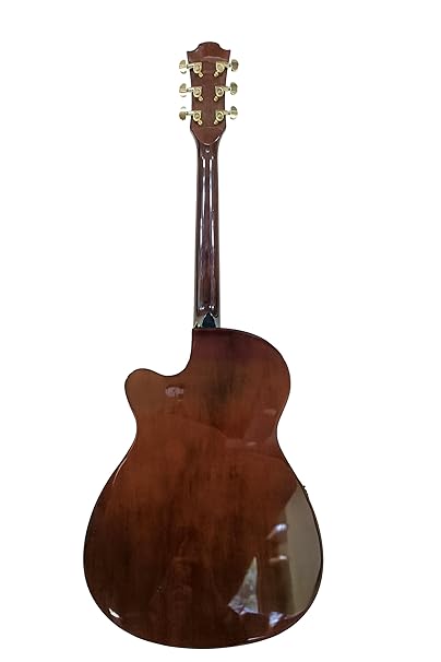 Gibz’s TG-40 Pro acoustic guitar in antique brown finish, front view with cutaway".