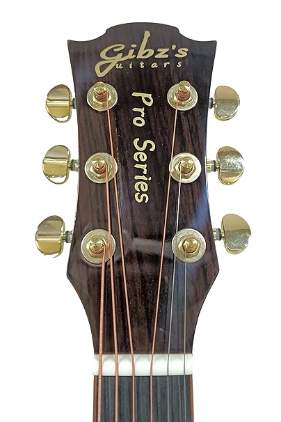 close-up: "Close-up of the bridge and lower body detailing on Gibz’s TG-40 Pro acoustic guitar