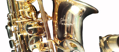 Gibz's Brass Alto Saxophone in Gold Lacquer Finish with Hard Carry Case, Neck Belt, Gloves & Extra Reed Professional Saxophone for Beginners, Students & Stage Performers